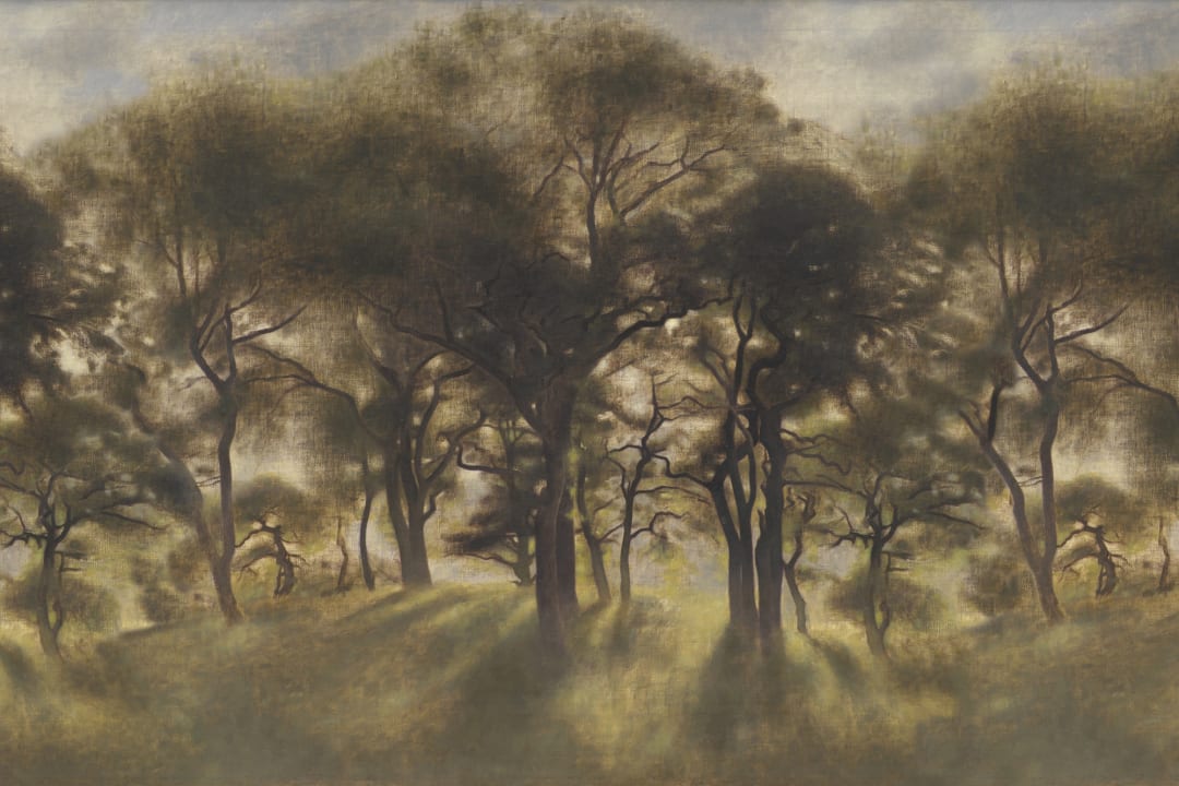 Smokey Forest Classic