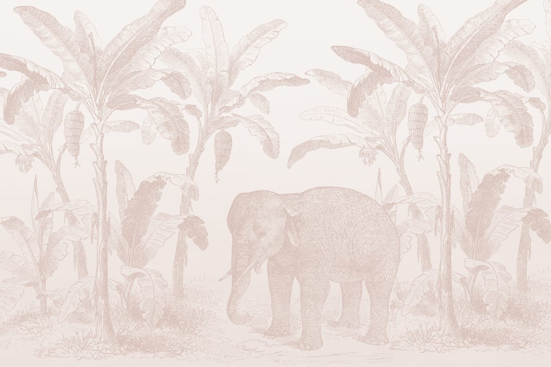 Loxodonta Pink