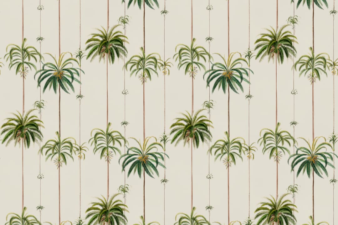 Queen Palm Classic