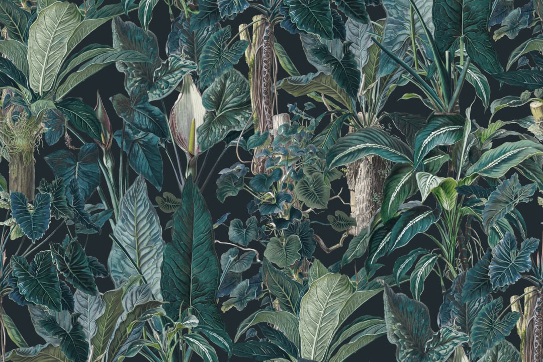 Tropika Dark