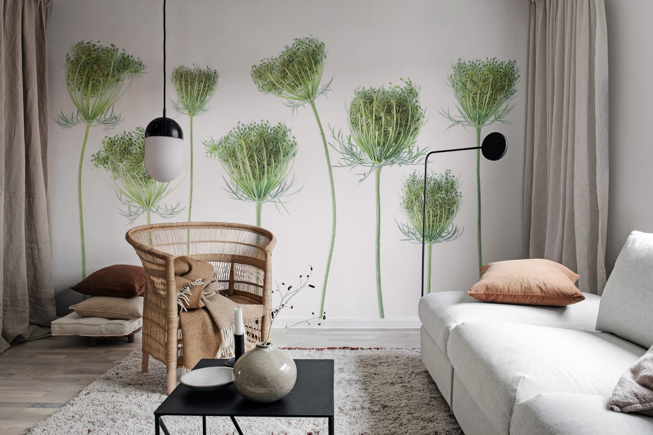 wild-carrot-rebel-walls