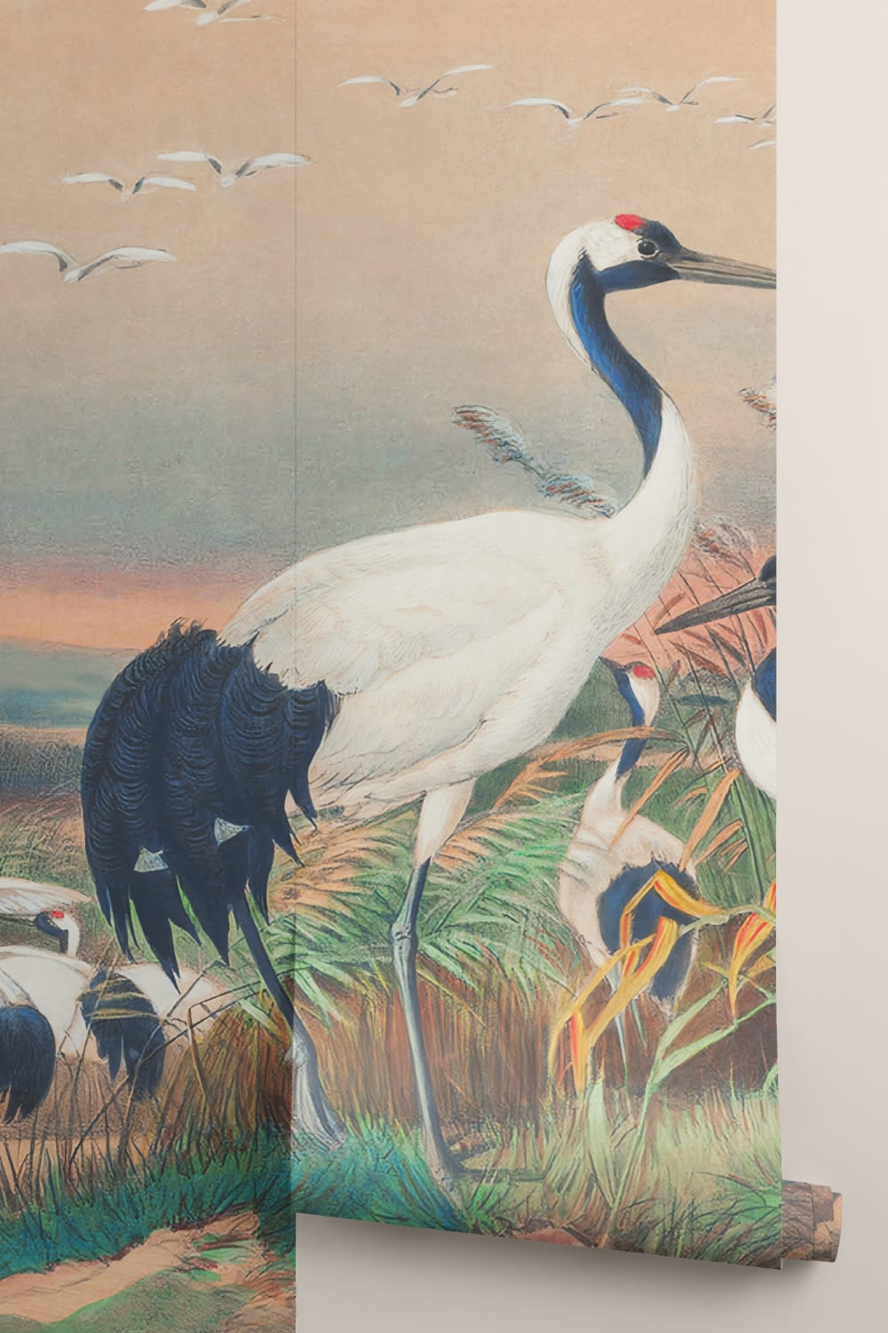 Mural de papel pintado a mano Cranes in Wetlands, de Joseph Wolf