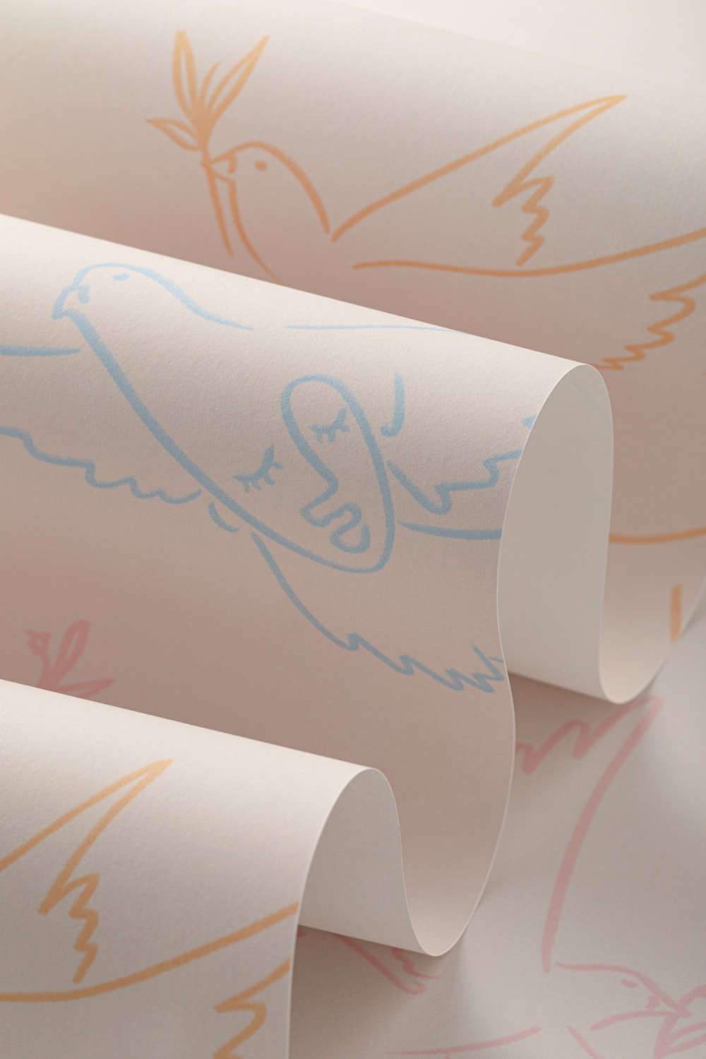 Colorful Dove Wallpaper