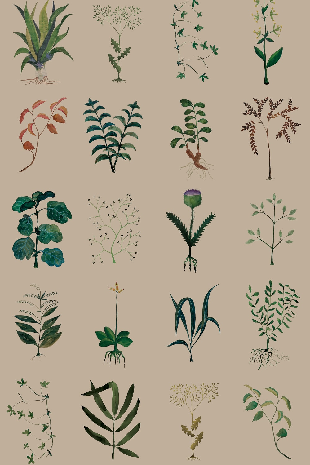 Nature's Archive