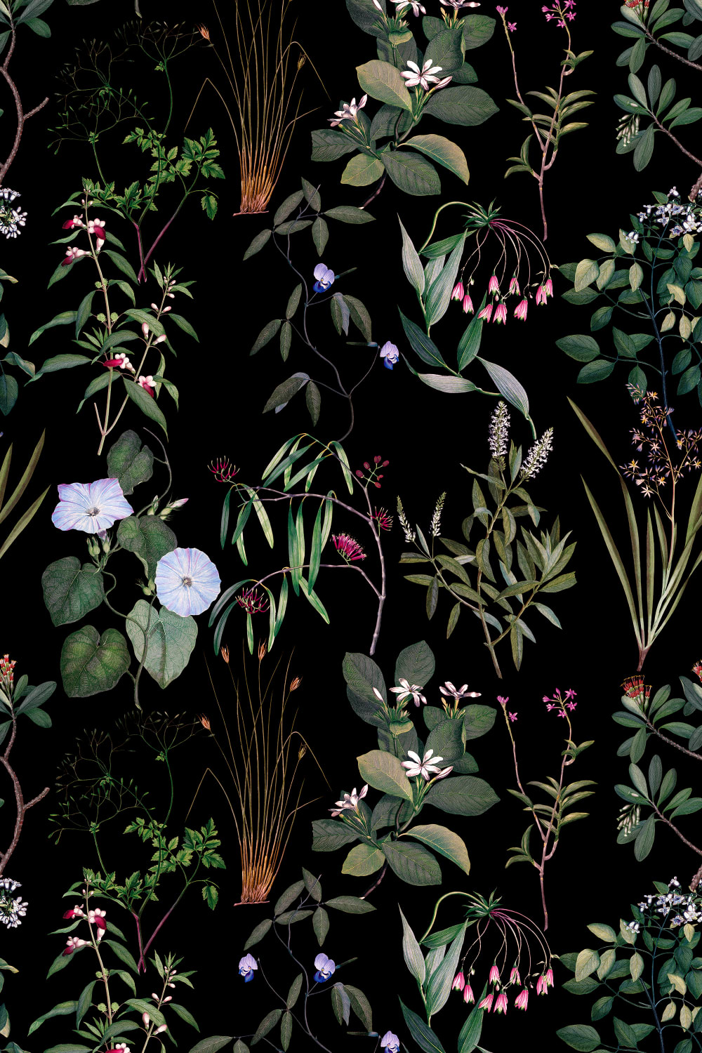 Fiore Notturno