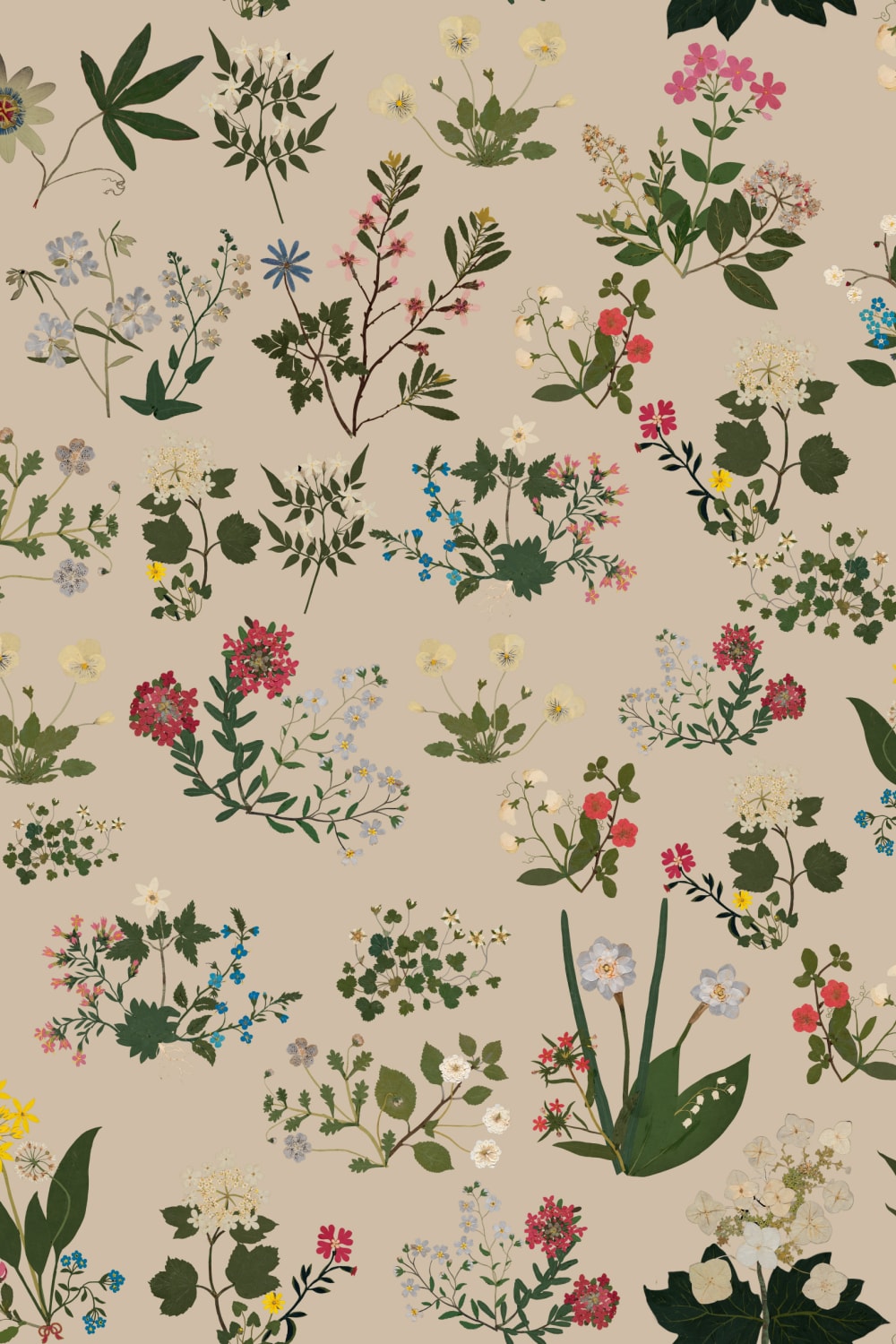Botanical Serenity