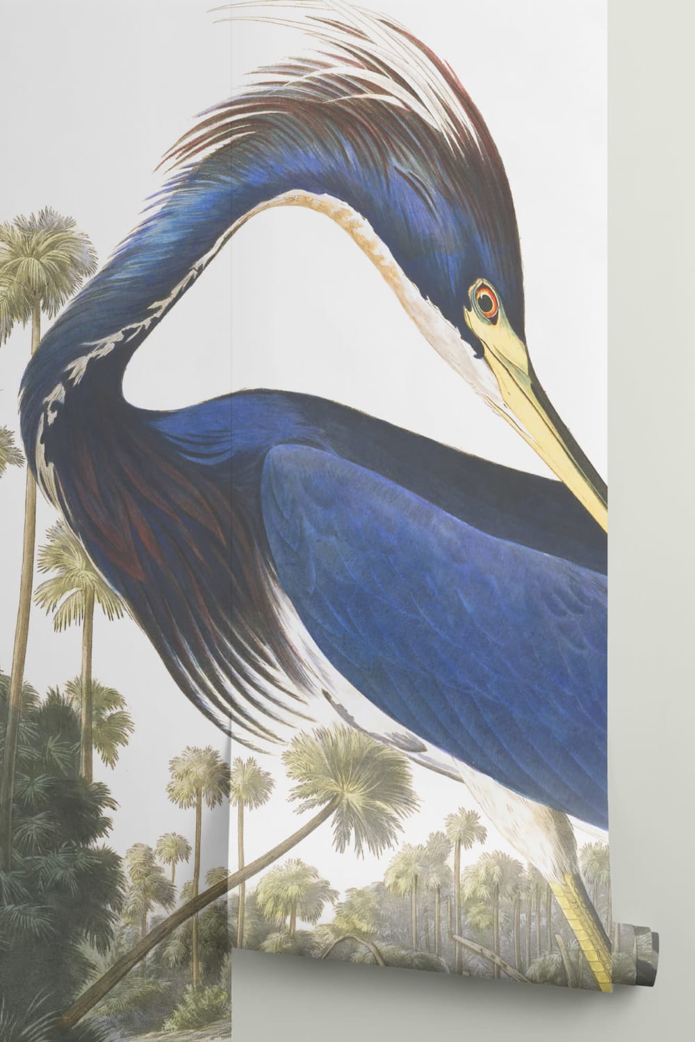 Fototapete Blauer Reiher