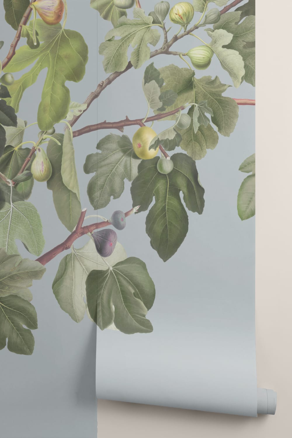 Vintage Fig Plant Botanical Illustration Wall Mural on Blue Background