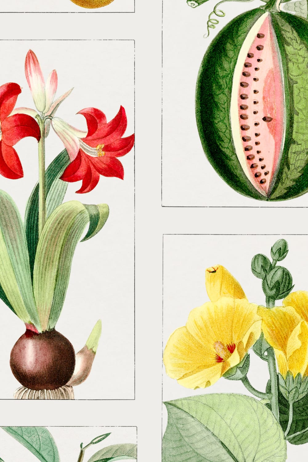 Botanical Fruits and Flowers Tile Pattern Wall Mural
