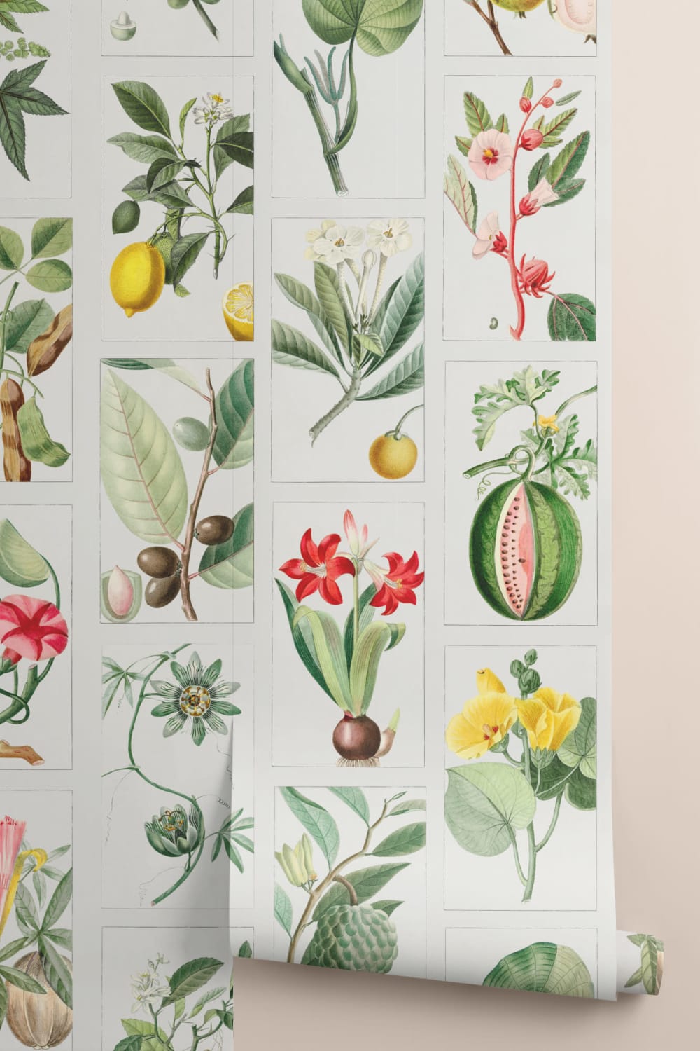 Botanical Fruits and Flowers Tile Pattern Wall Mural