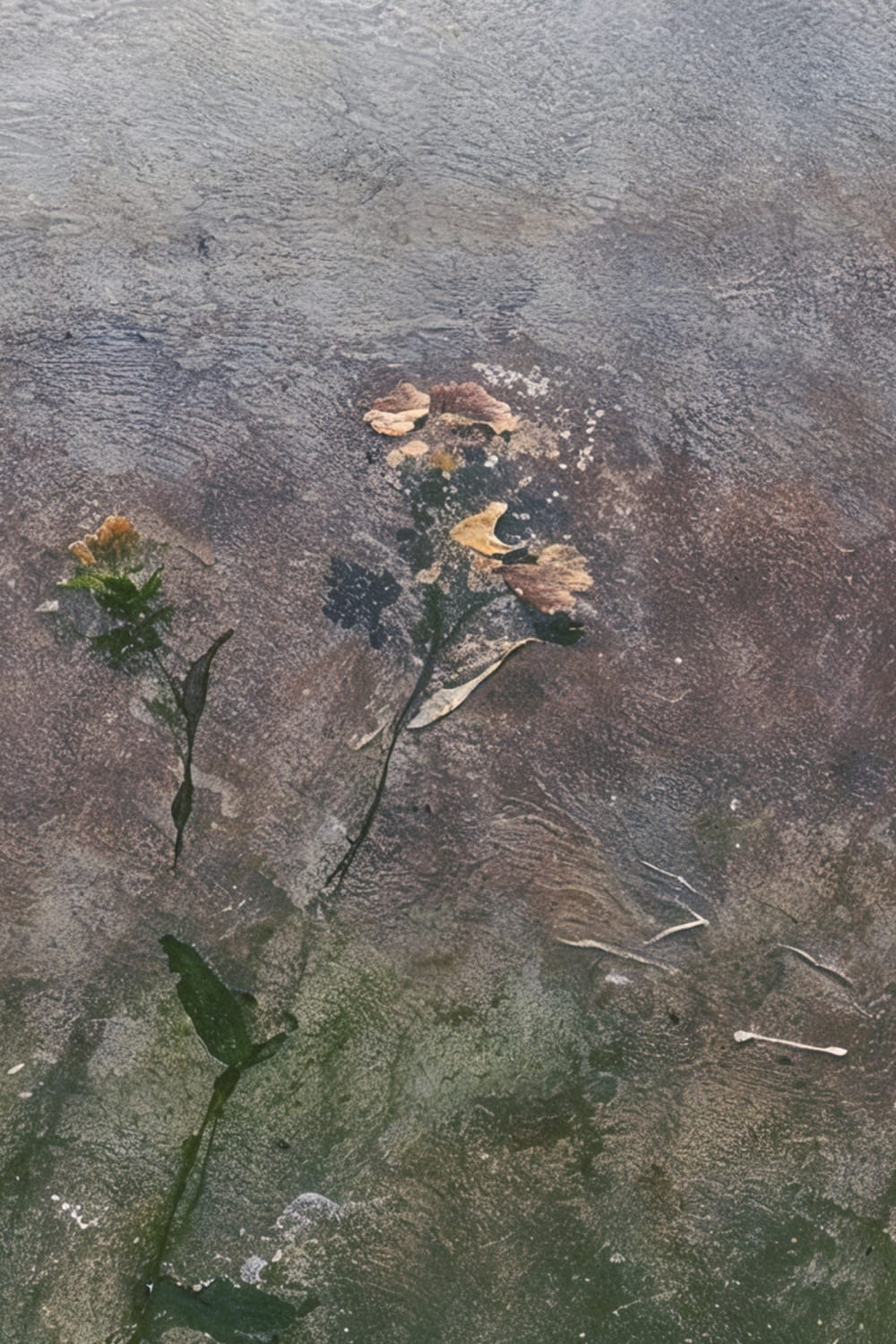 Blauwe Rustige Weide Sfeervolle Natuur Kunst Muurschildering