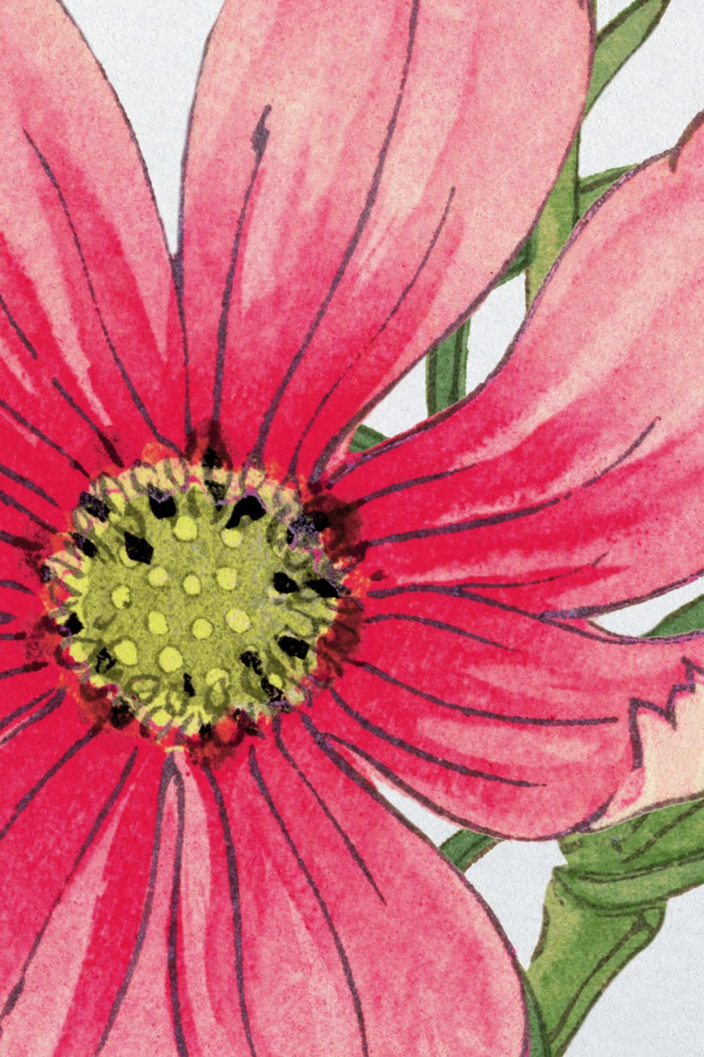 Cosmos aquarelle japonaise murale florale