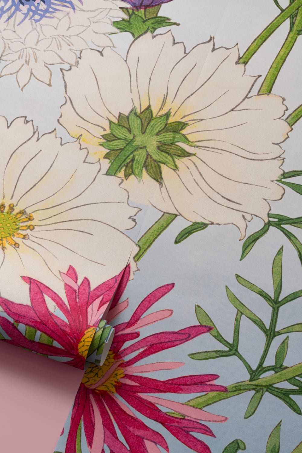 Cosmos aquarelle japonaise murale florale