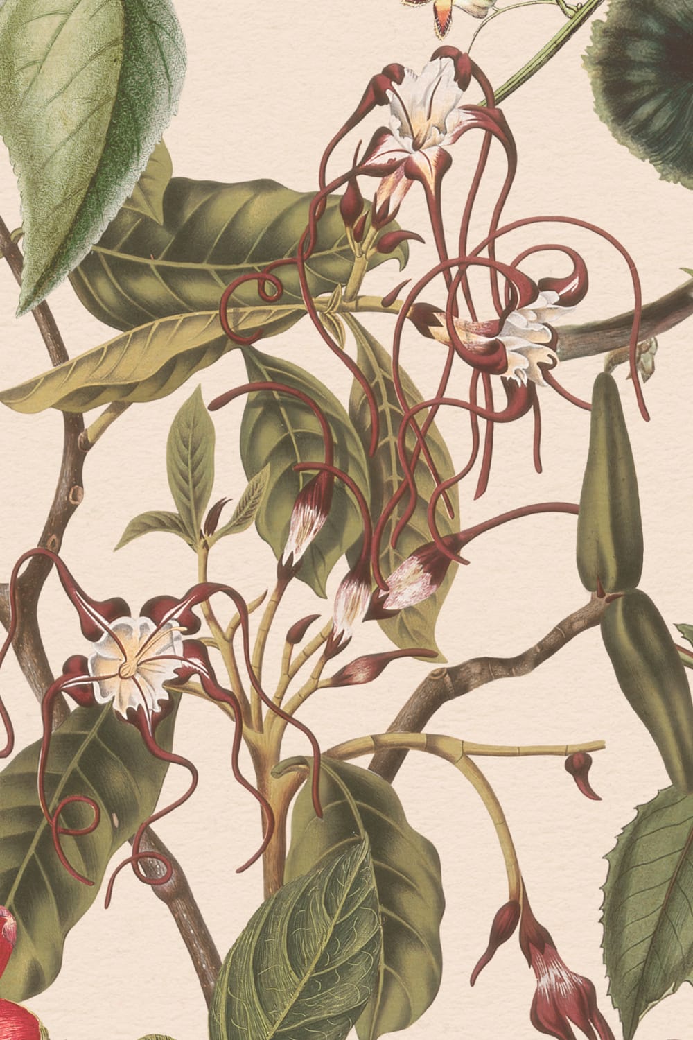 Elegant fototapet med botaniske blomster i creme