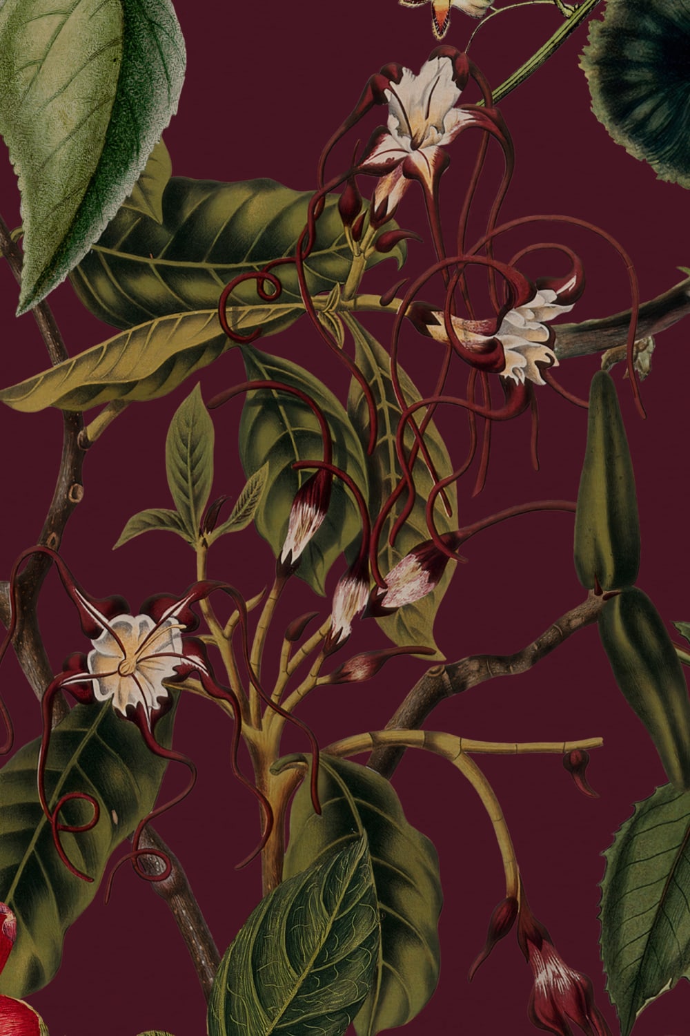 Mural de papel pintado con motivos florales y botánicos en rojo baya intenso