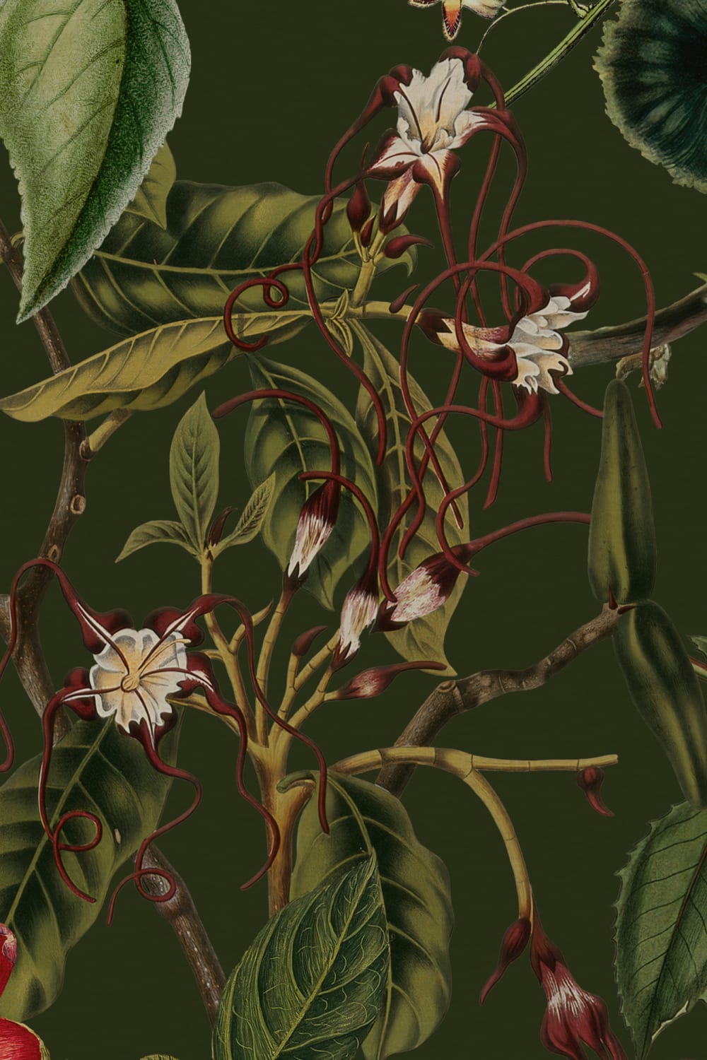 Dramatisk botanisk fototapet med blomster i skovgrønt