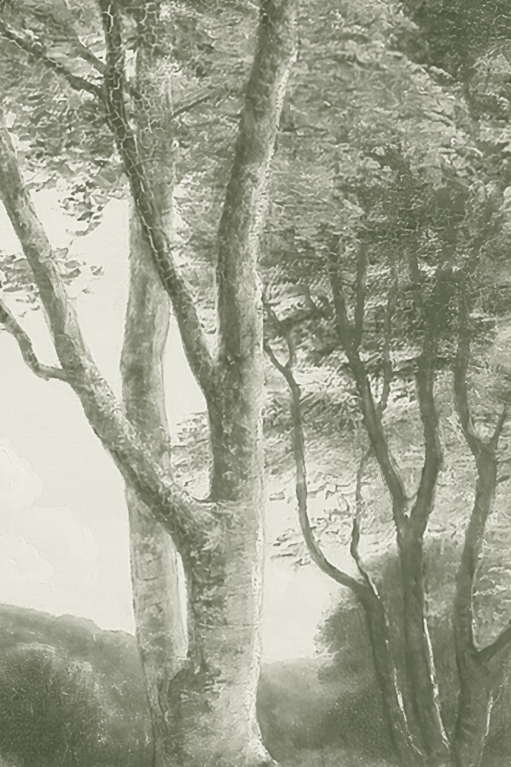 Papier peint panoramique de la forêt verte