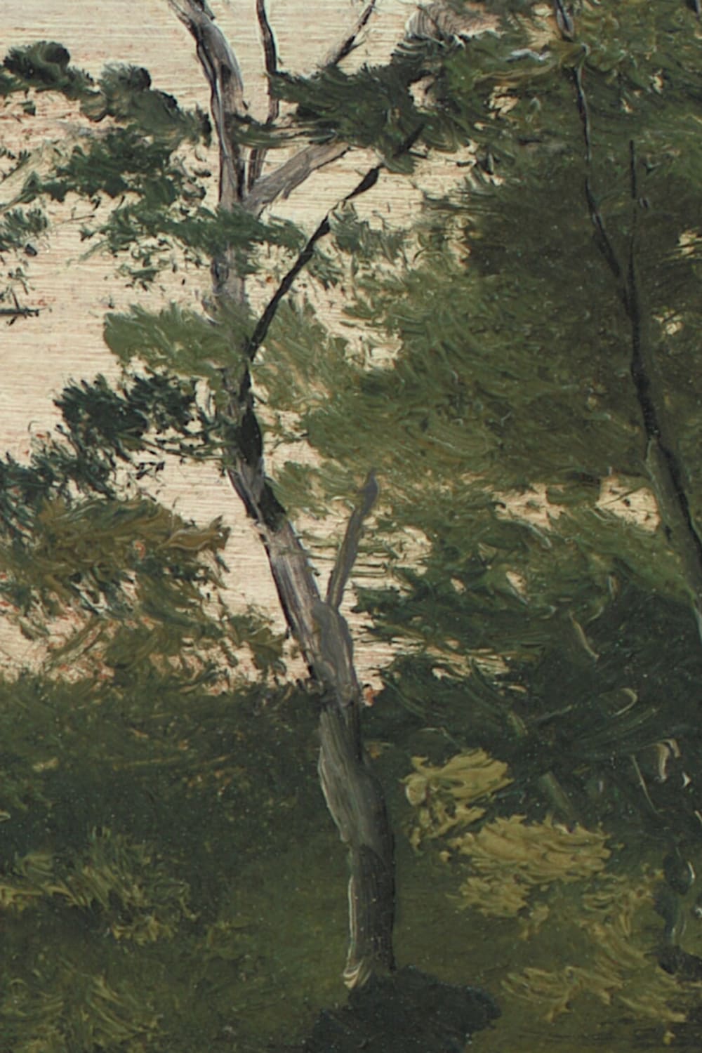Carta da parati del paesaggio delle colline danesi