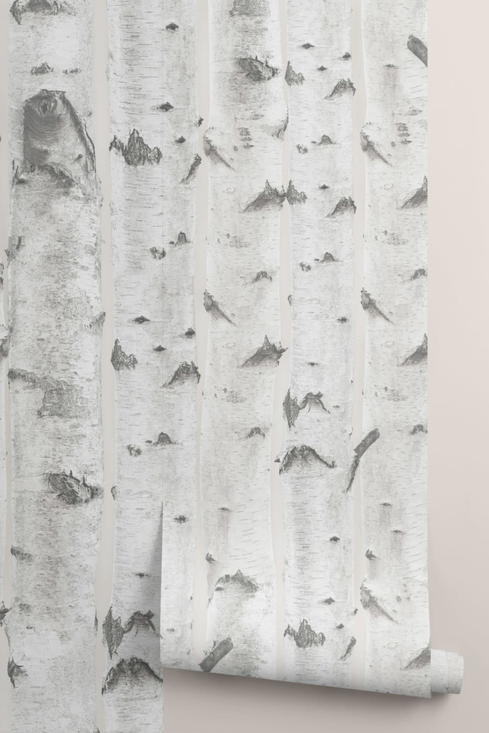 Mural de papel de parede com padrão de árvore de bétula branca e creme