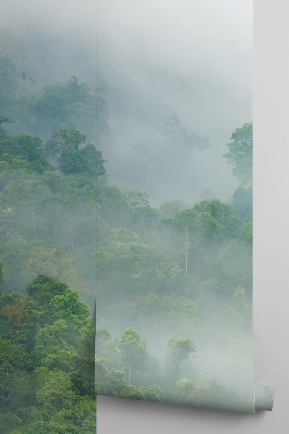 Carta da Parati Fotografica con Foresta Pluviale Verde nella Nebbia