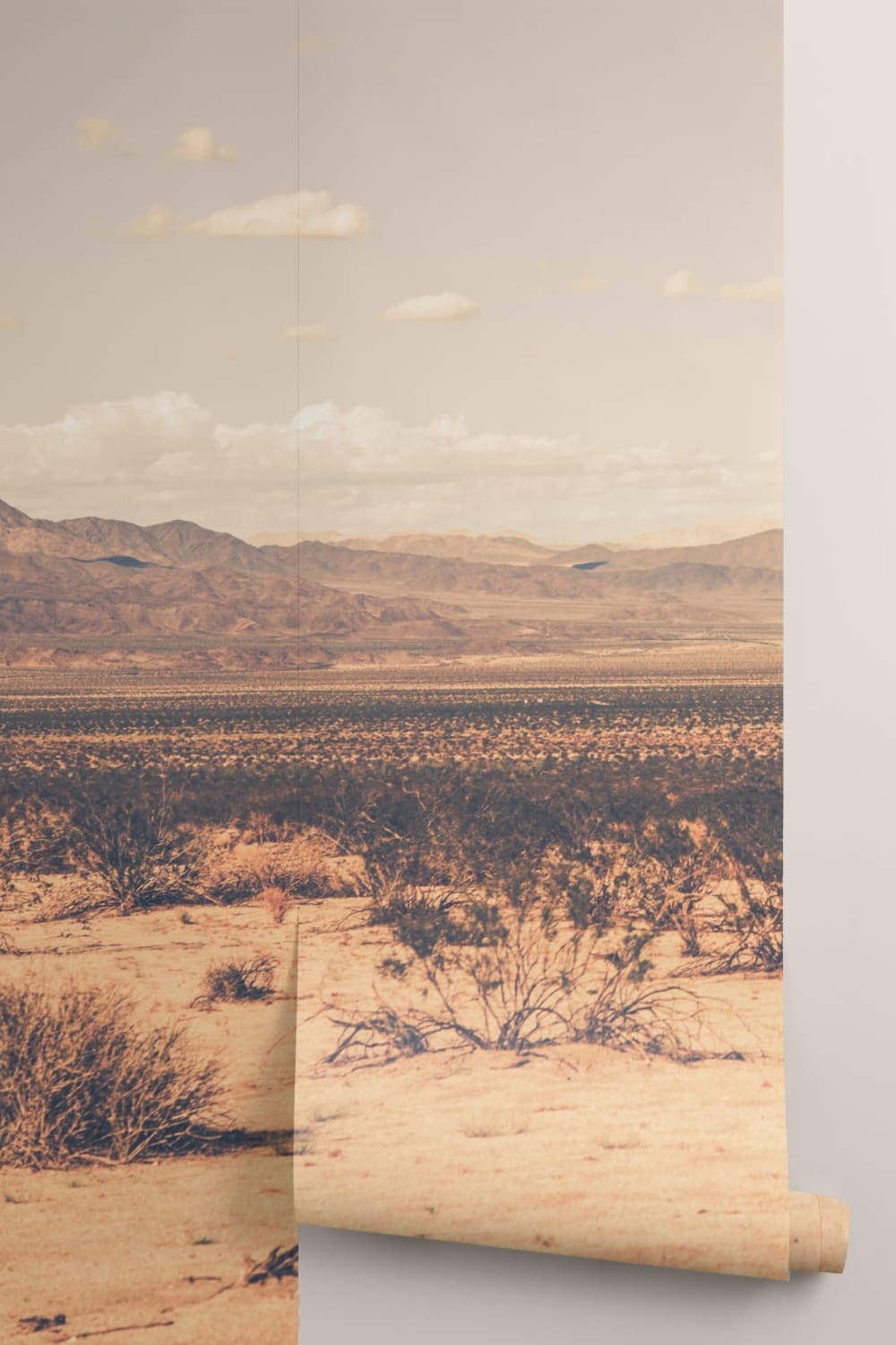 Arid Desert Behang Muurschildering