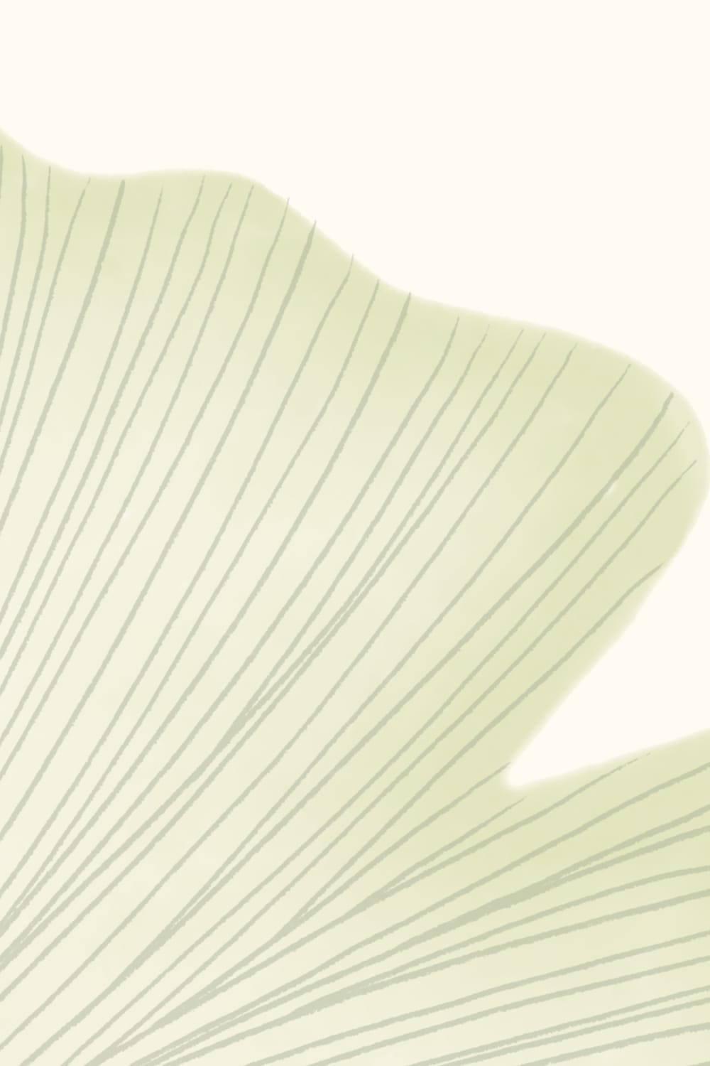 Green Ginkgo Leaf Mural