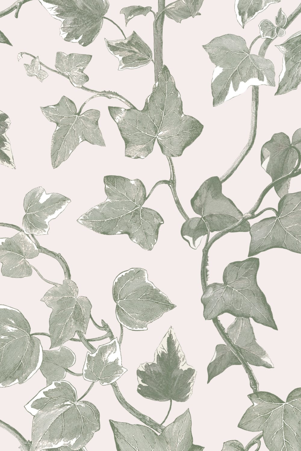 White Heritage Ivy Wallpaper