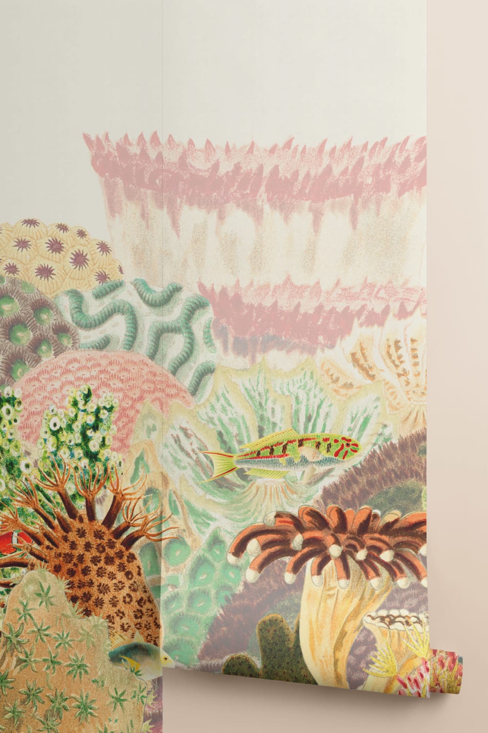 Kleurrijke Vintage Illustraties Koraalrif Muurschildering