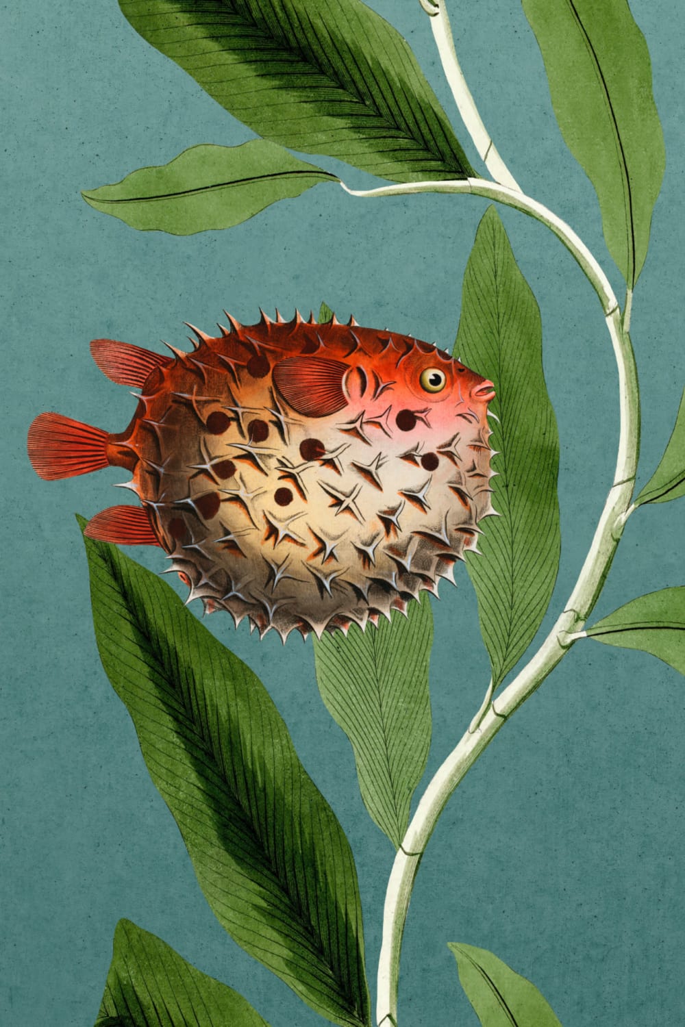 Teal Fish & Seaweed undervandsmaleri