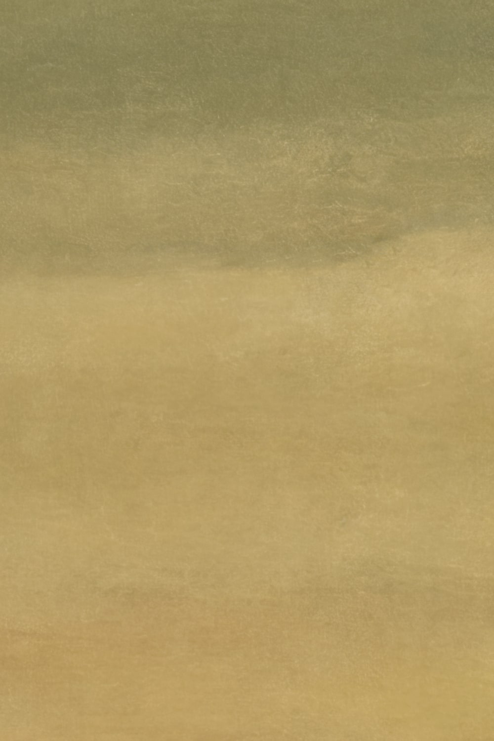 Soft Green Minimalist Nature Gradient Wall Mural
