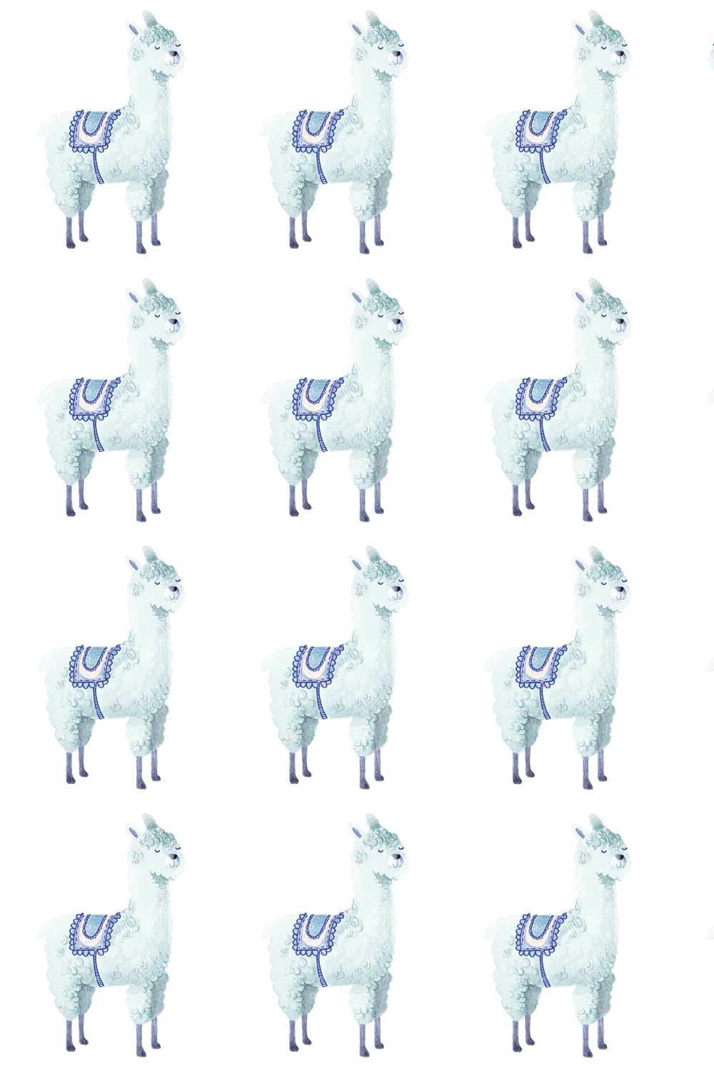 Alpaca Rebel, Sky