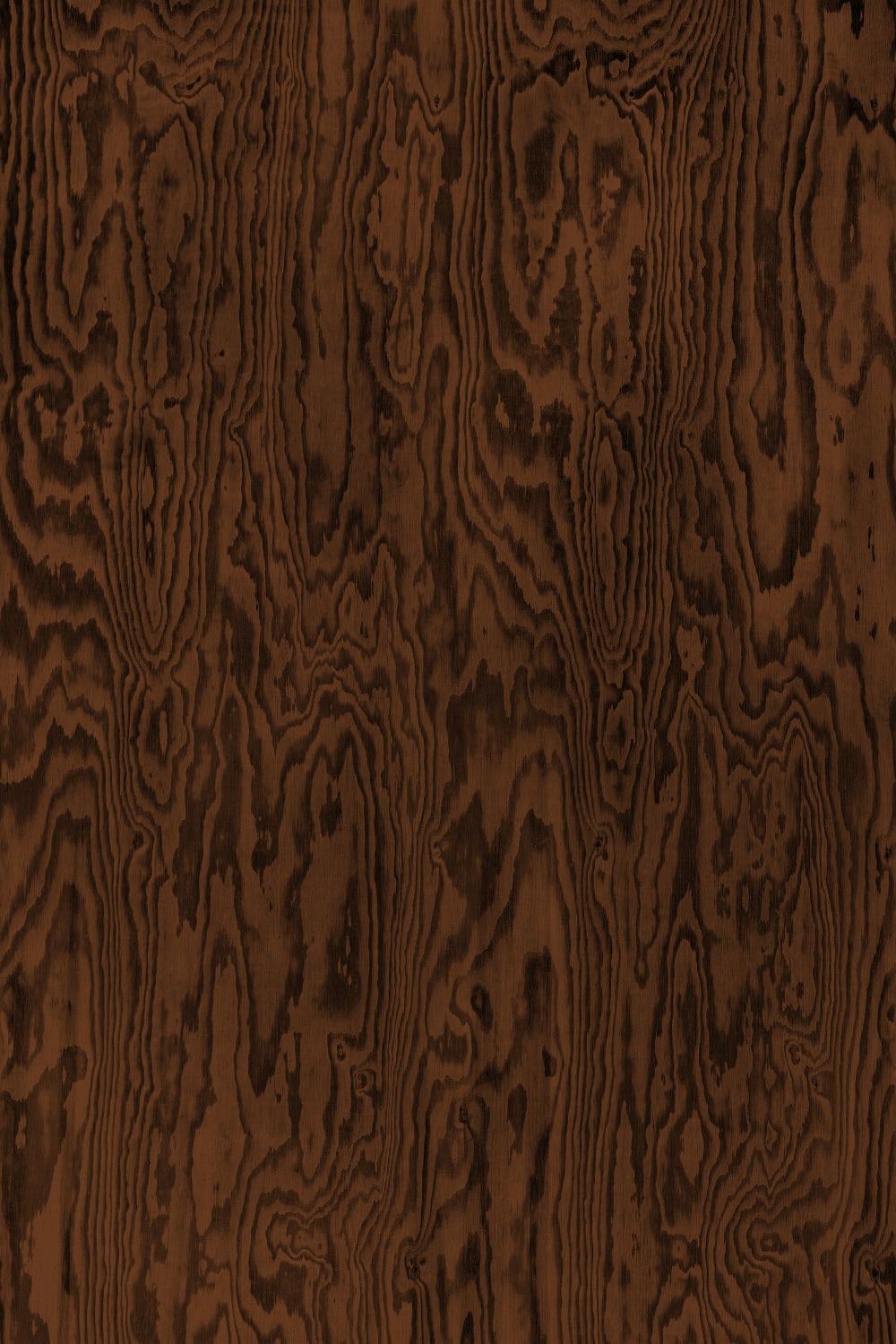 Rich Wooden Depth