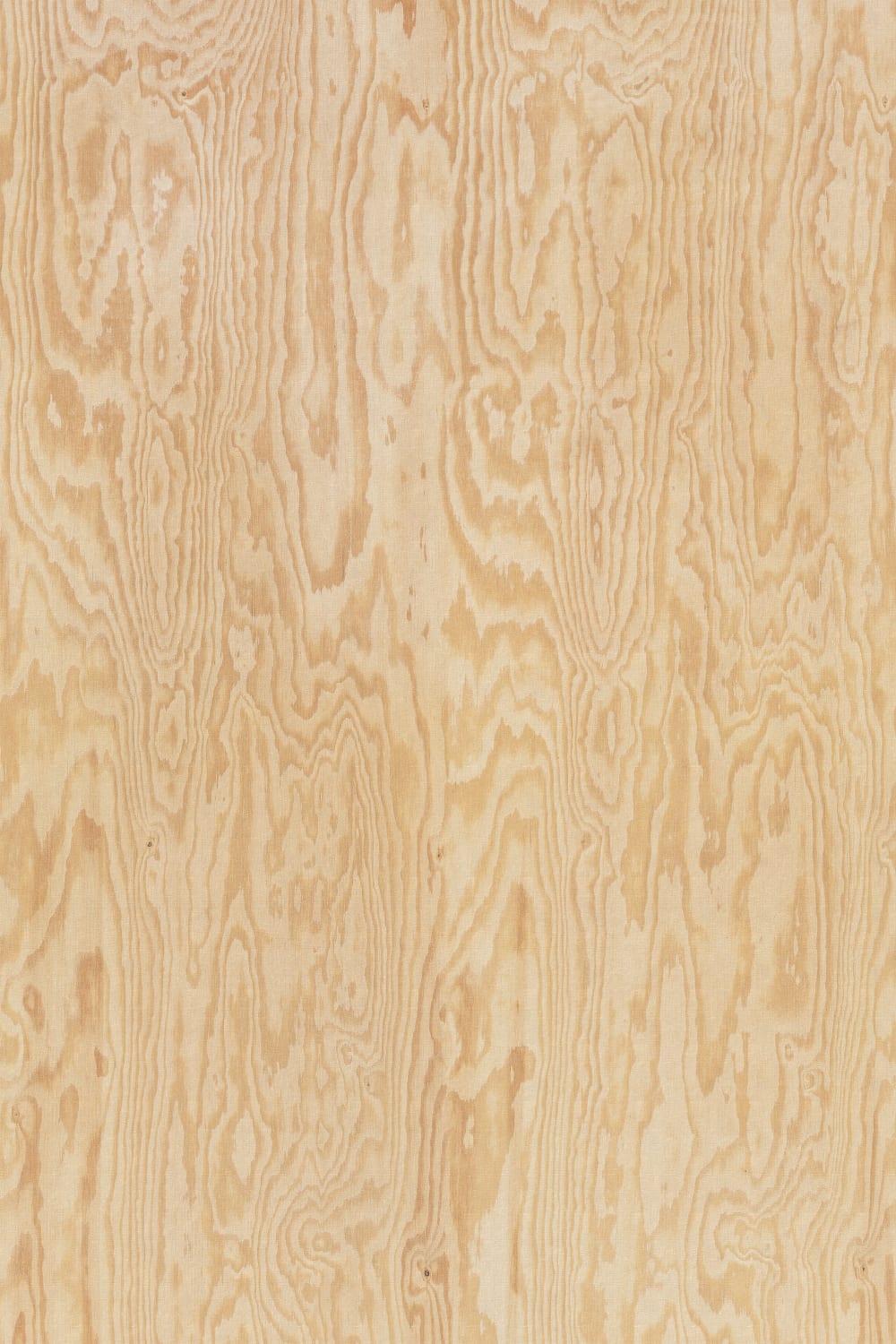Holzkorn Eleganz