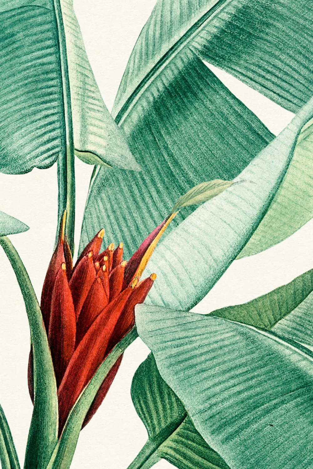 Carta da Parati Vintage con Piante Tropicali Verdi