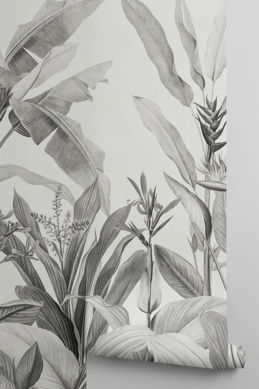Grayscale Vintage plante tropicale Wallpaper Mural