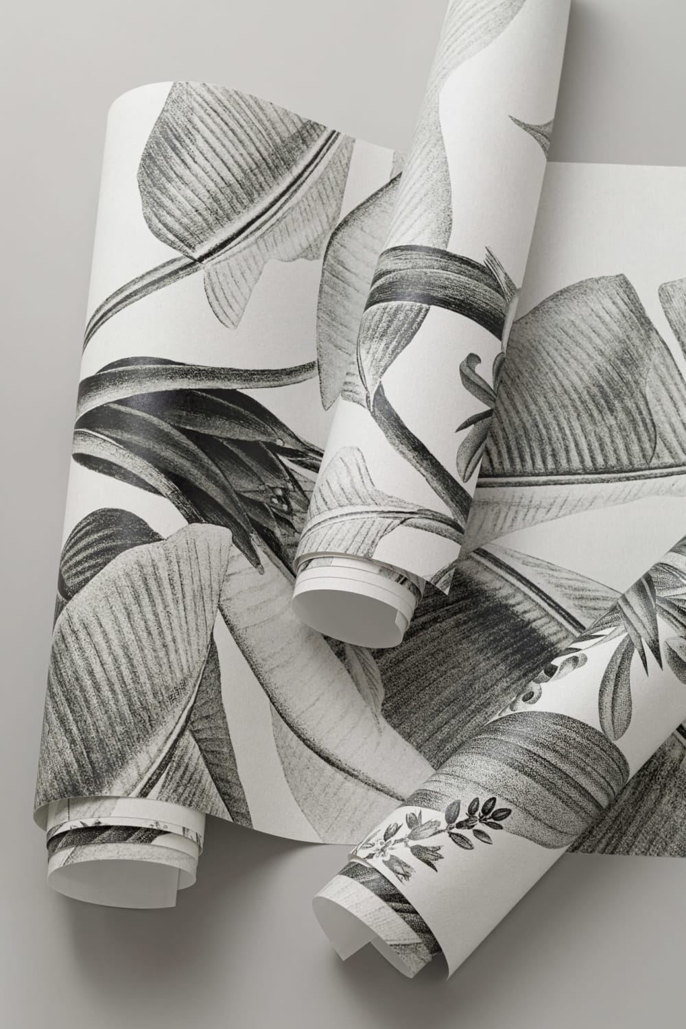 Grayscale Vintage plante tropicale Wallpaper Mural