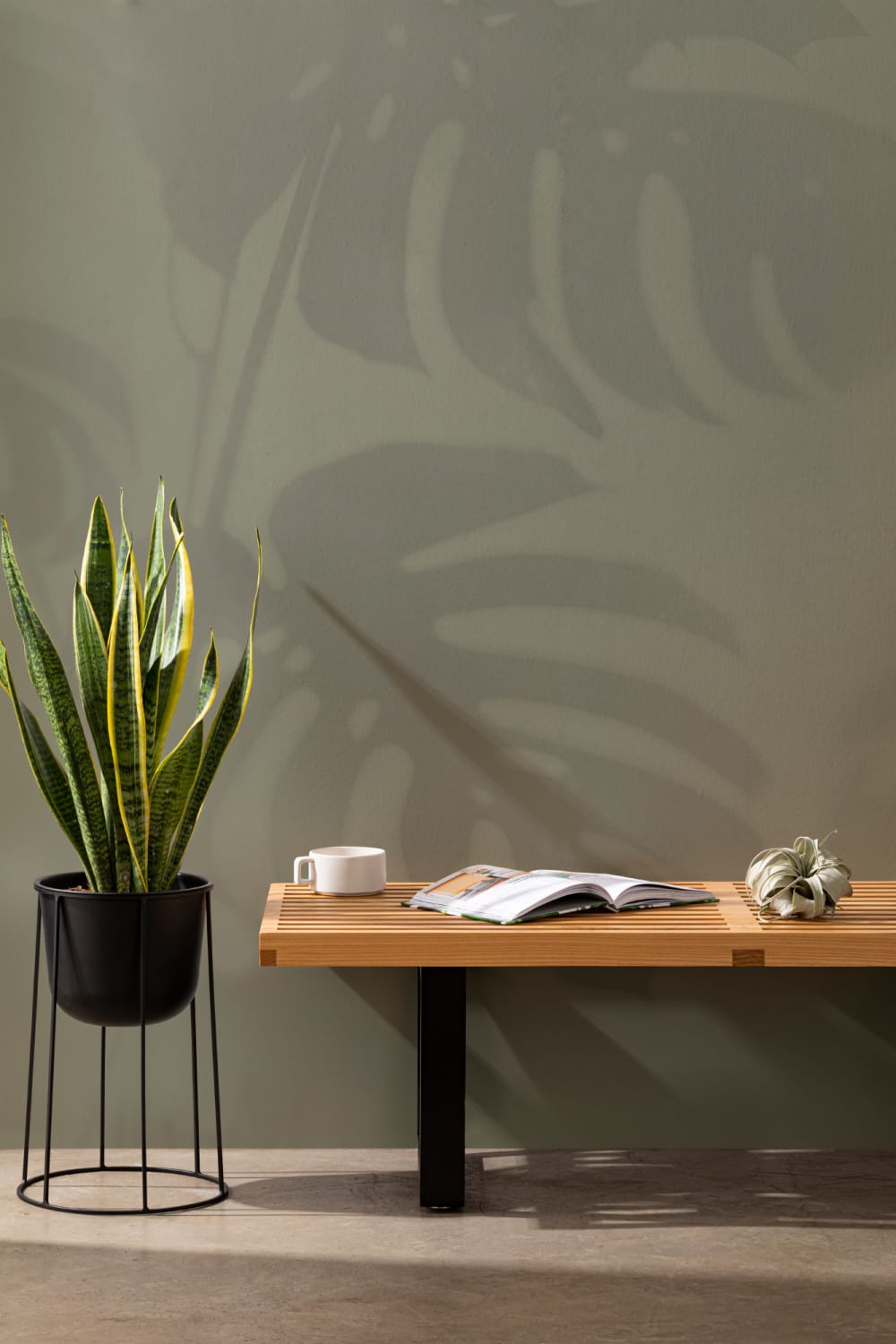 Vihreä Monstera Leaf Shadow kuvatapetti
