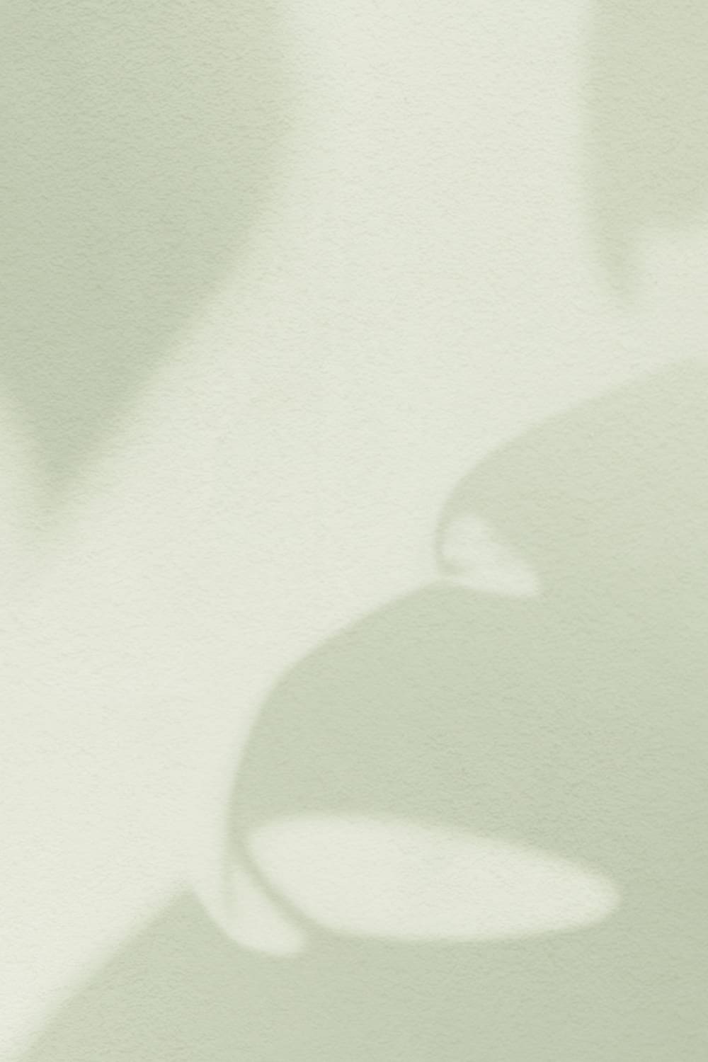 Salbei Grün Monstera Blatt Schatten Fototapete