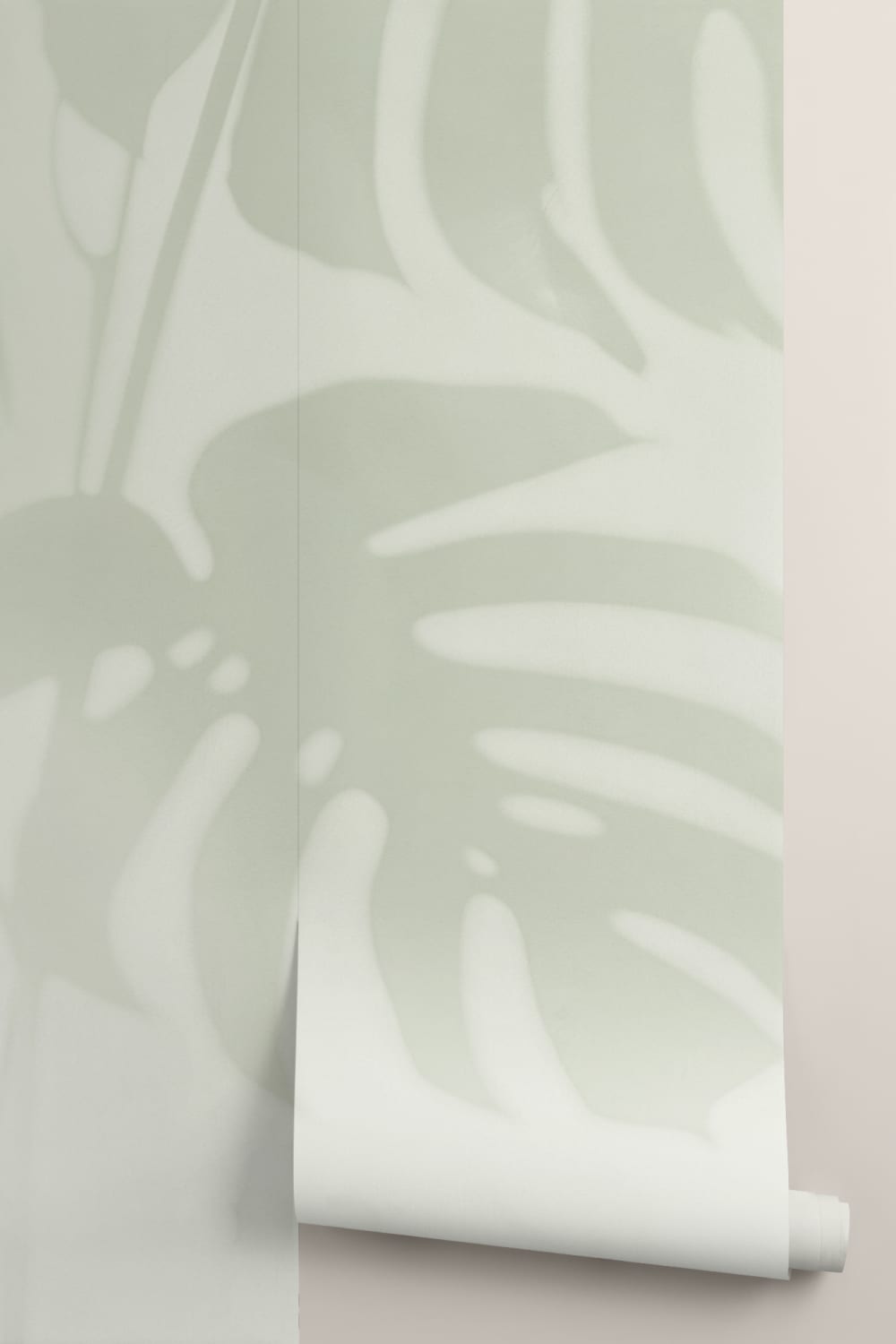 Salbei Grün Monstera Blatt Schatten Fototapete