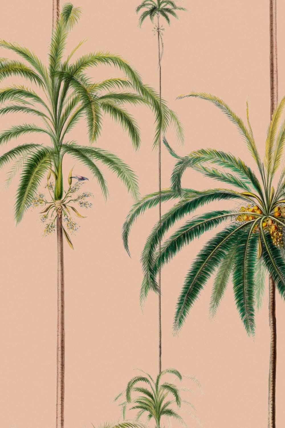 Peach Striped Tropical Palms Wallpaper