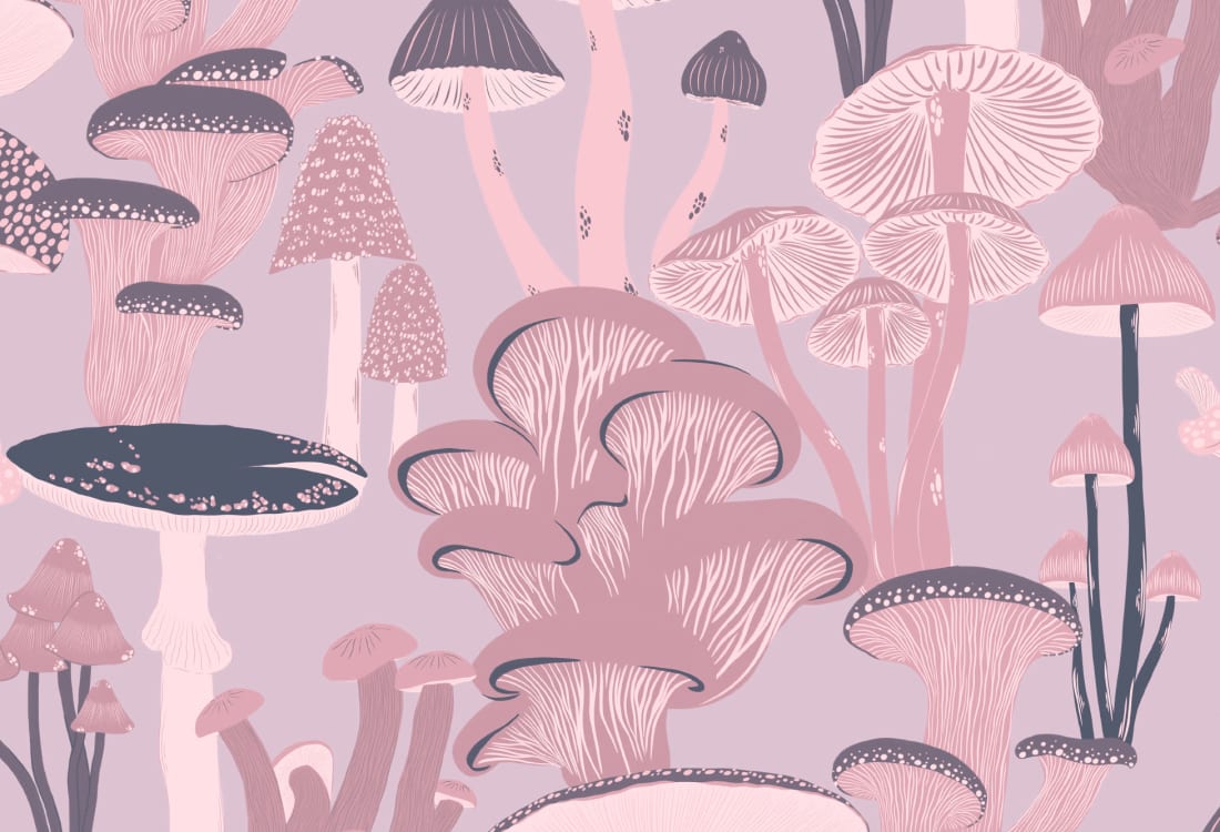 Pink Hand Drawn Mushrooms On Purple Wallpaper - Hovia