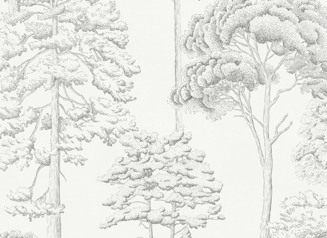 Grey Illustrated Trees Pattern Wallpaper - Hovia