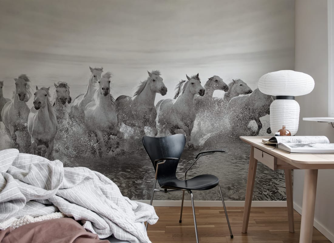 white running horses wallpaper