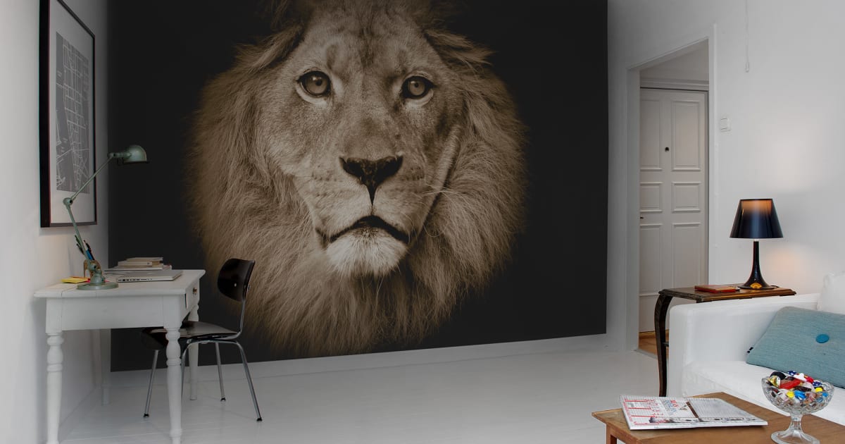 lion mural wallpaper