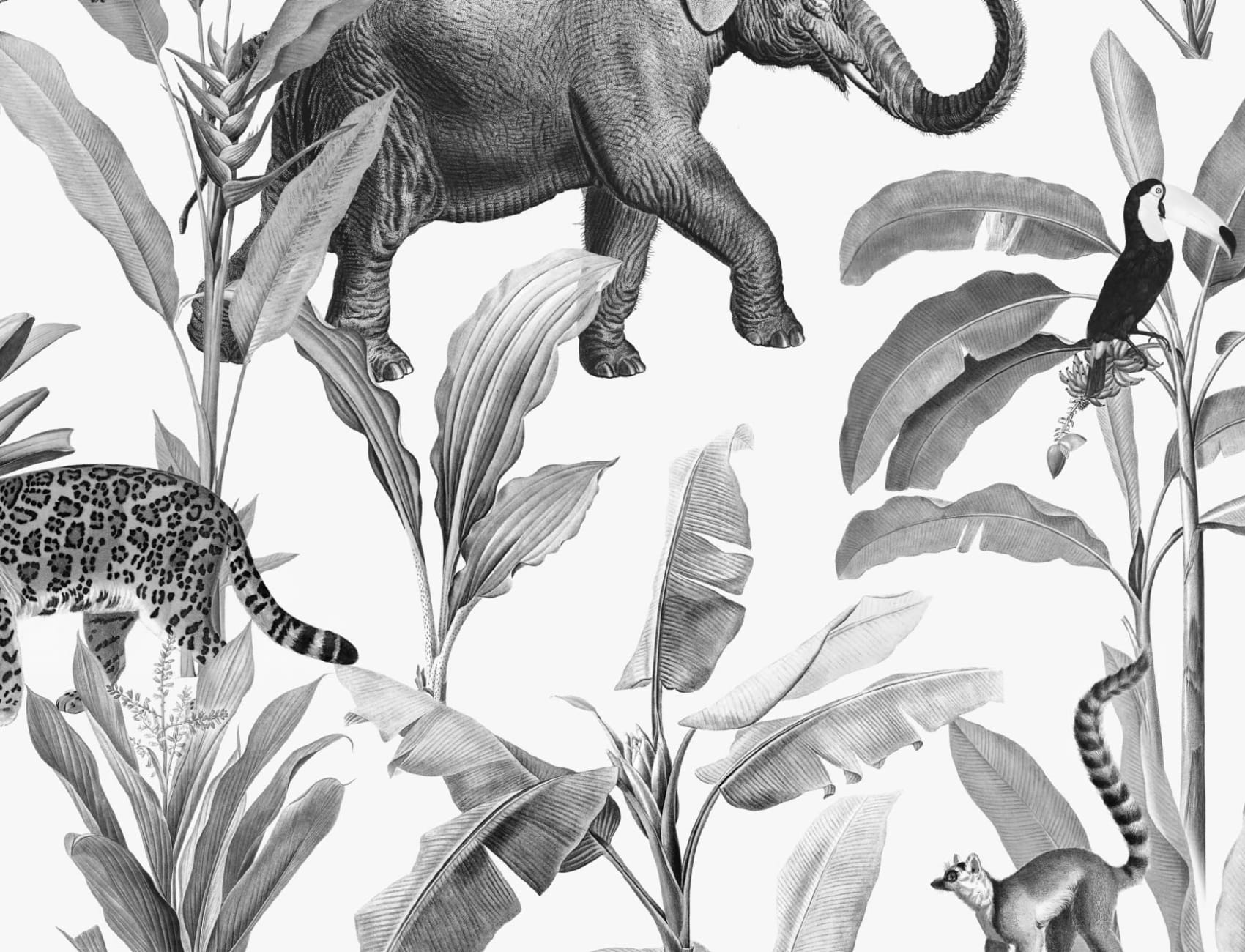 Papier Peint Noir et Gris à Motifs d’Animaux de la Jungle Illustrés