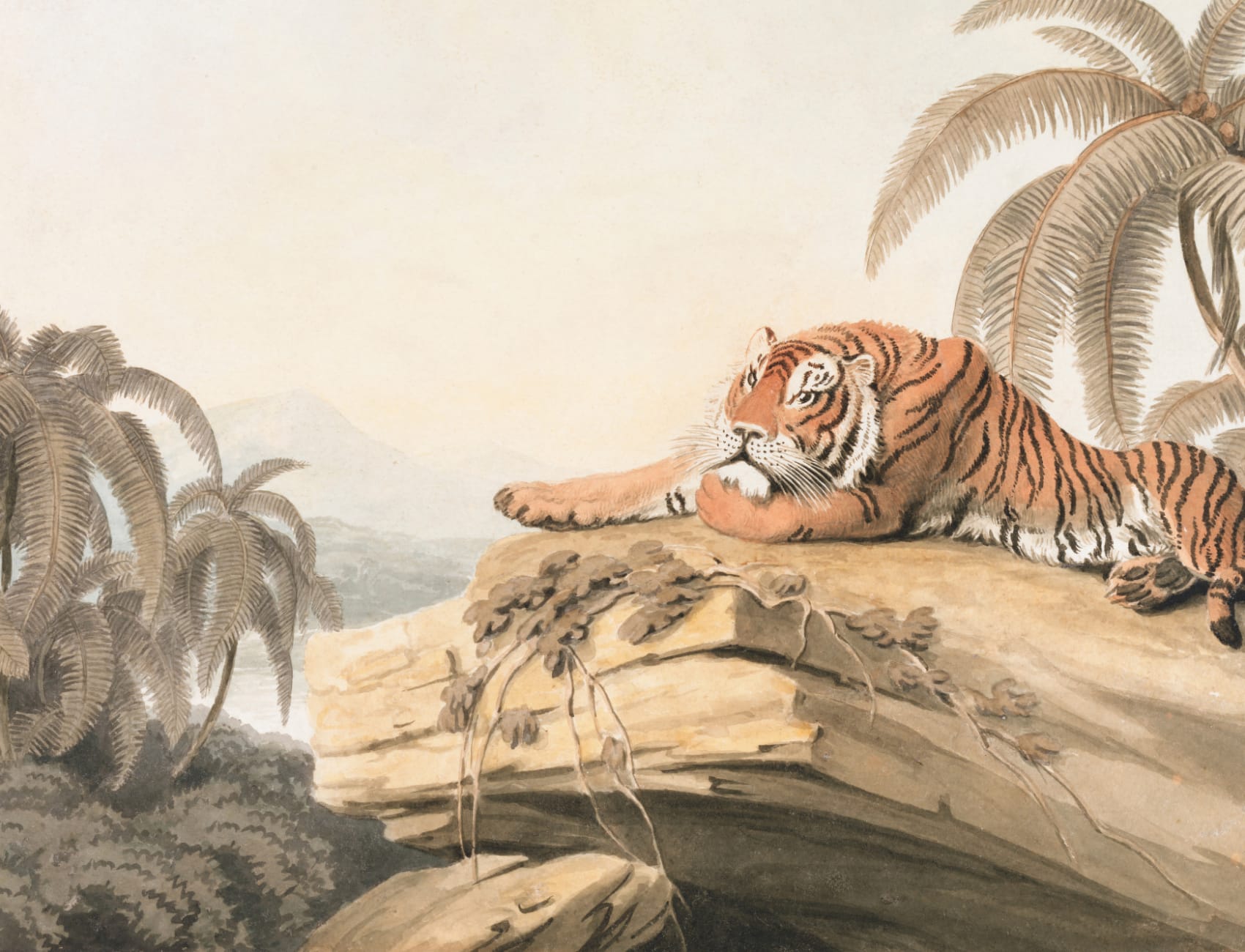 Illustrated Tropical Landscape Tiger Mural
