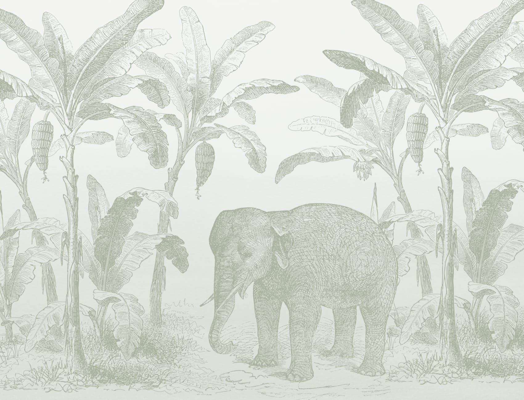 Salviavihreä Vintage Ontdekkingsreiziger Olifant Muurschildering