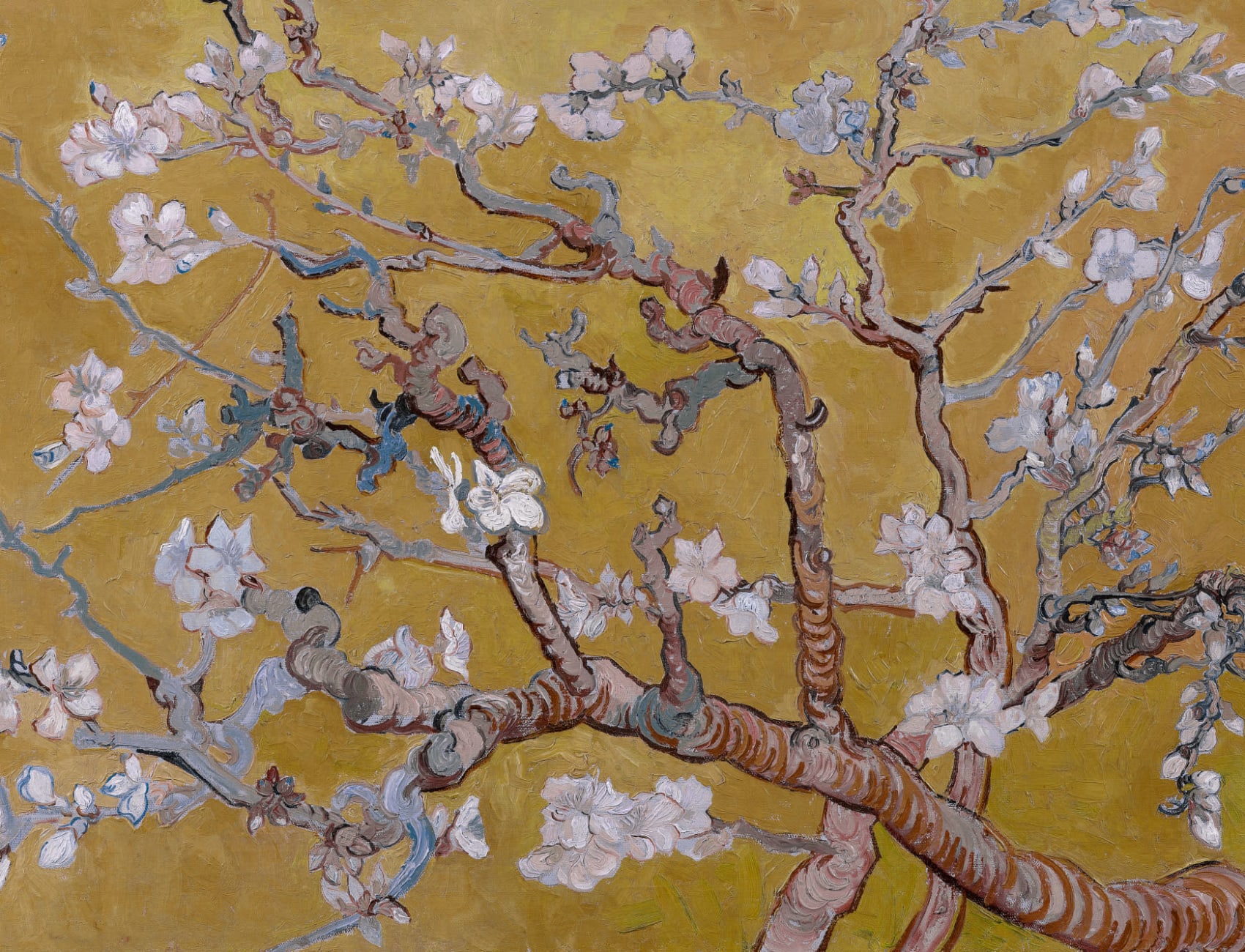 Anpassad mandelblomma av Vincent Van Gogh fototapet
