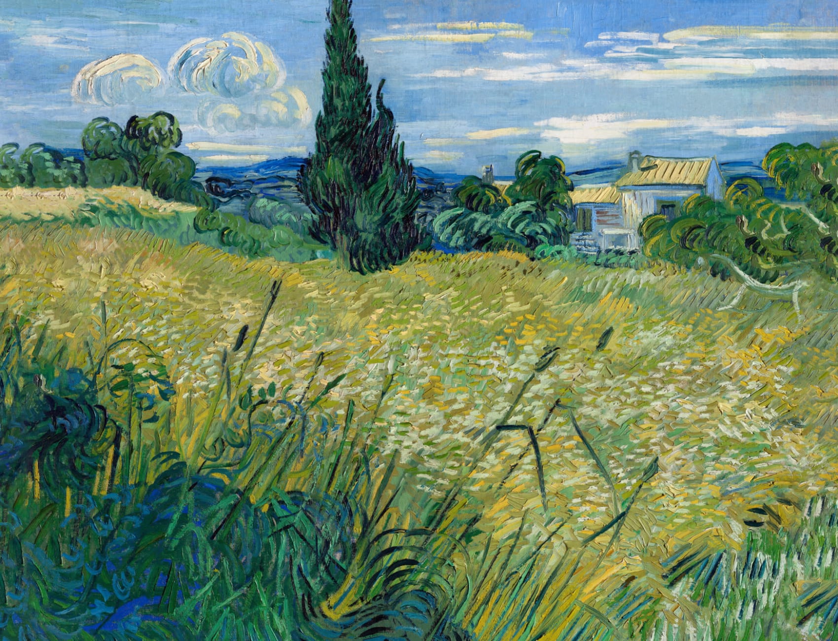 Vihreä vehnäpelto ja sypressi Vincent Van Gogh seinämaalaus
