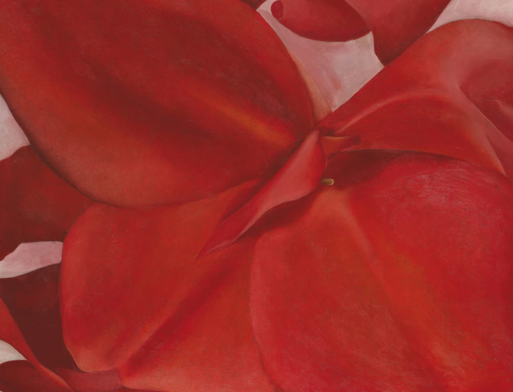 Georgia O Keeffe Red Cannas Wall Mural